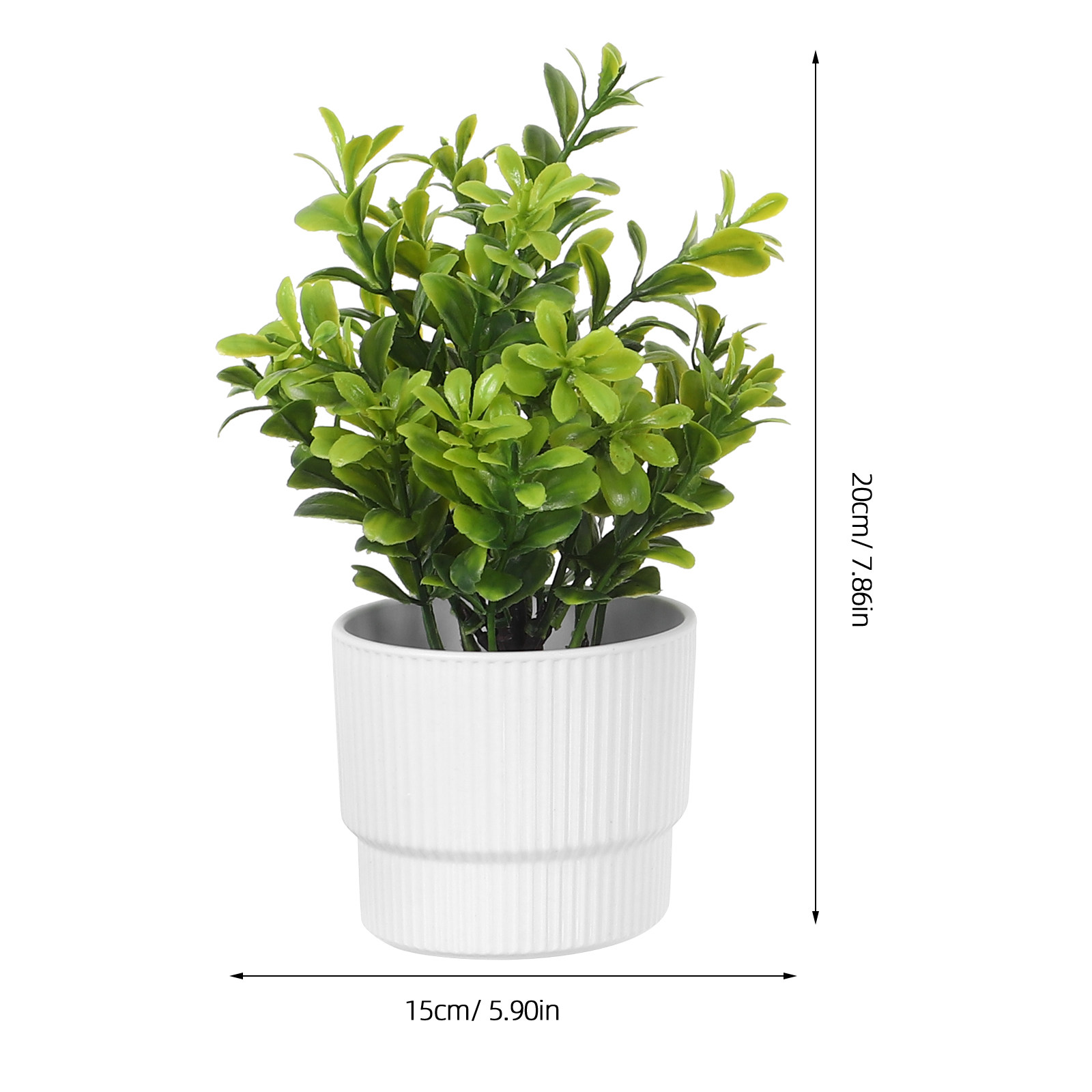 ต้นยูคาลิปตัสจำลองขนาดเล็ก 3 ช - Plant Pot Small Desk บทวิจารณ์และราคา
