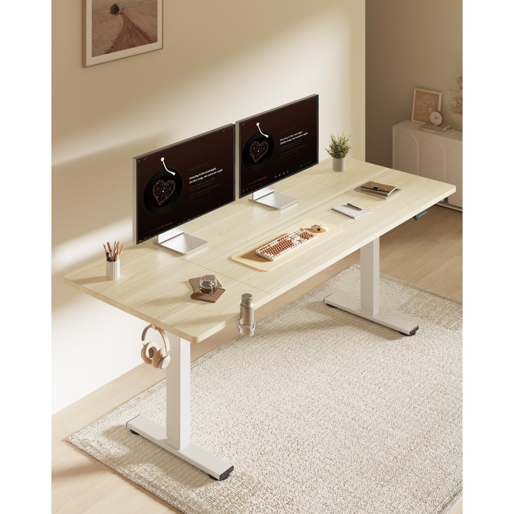 FLEXISPOT โต๊ะยืนไฟฟ้าขนาด 63x - Setup Desk Monitor บทวิจารณ์และราคา