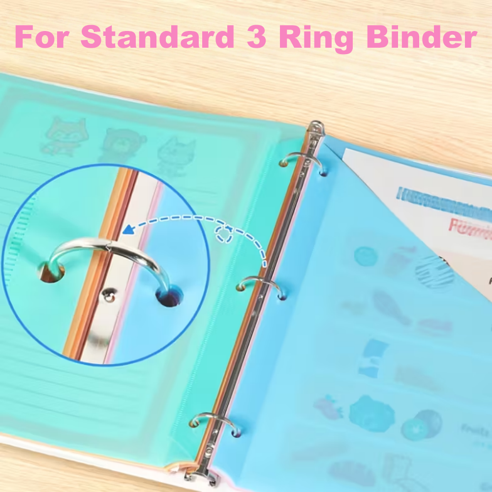 แผ่นแบ่งเอกสาร 8 ชิ้น สำหรับแฟ - Ring Binder Box บทวิจารณ์และราคา