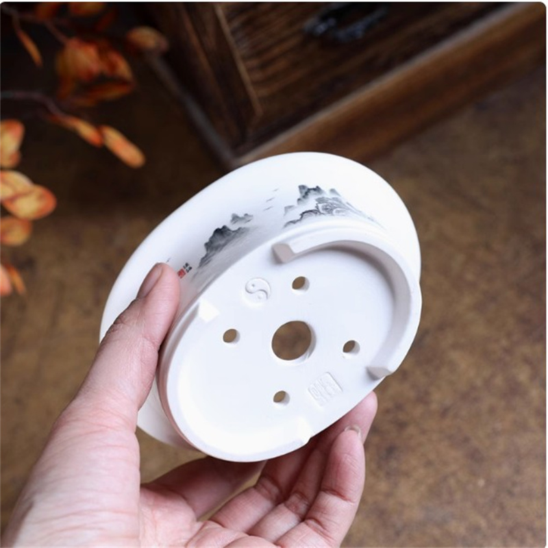 พอร์ซเลนสีขาวรูปไข่Bonsaiหม้อ, - Plant Pot Small Desk บทวิจารณ์และราคา