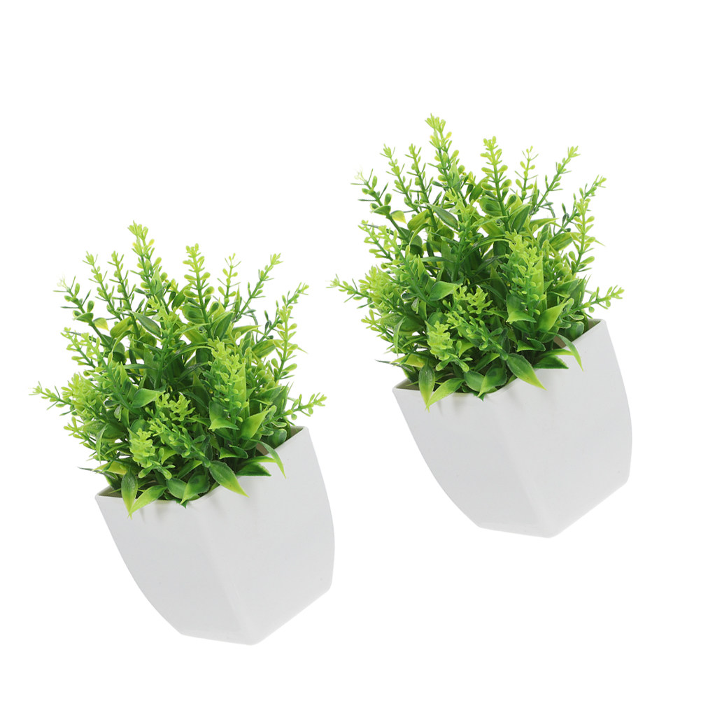 ต้นบอนไซเทียม 2 ชิ้น ทนต่อการซ - Plant Pot Small Desk บทวิจารณ์และราคา