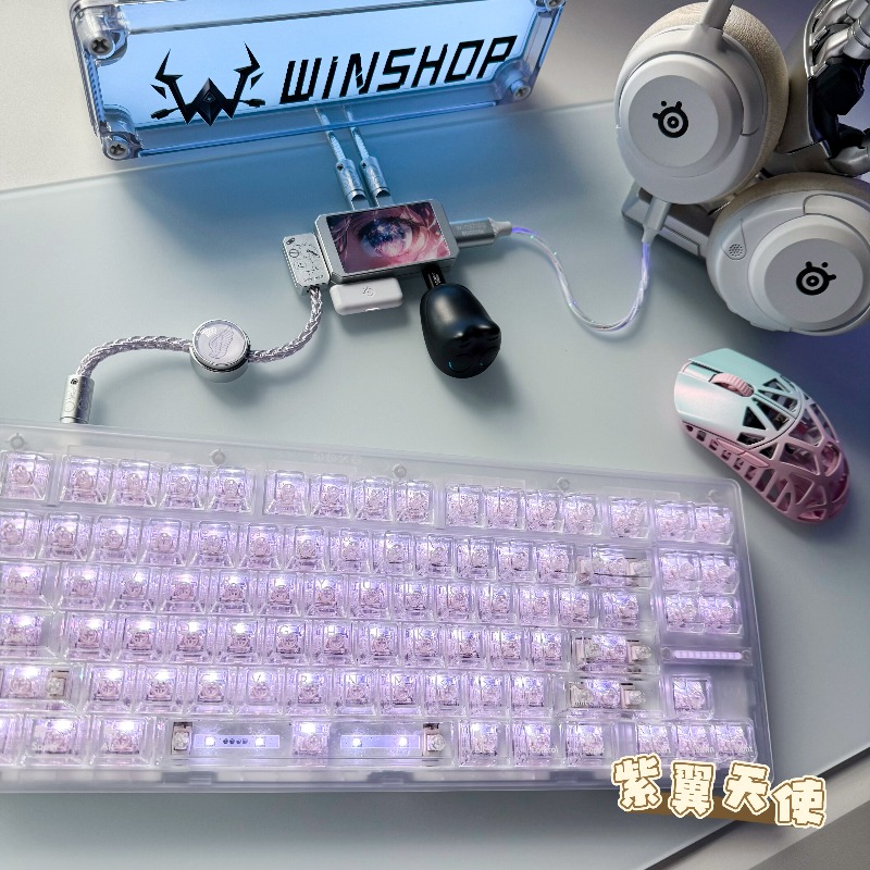 WINSHOP Esports HUB Dual-In 4- - Desk Setup Accessories Aesthetic บทวิจารณ์และราคา